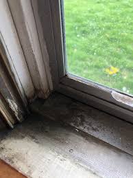 Remove Old Storm Windows With No S