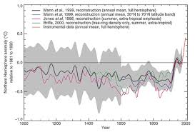 The Hockey Stick The Most Controversial Chart In Science