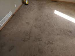 top rated commercial carpet cleaning