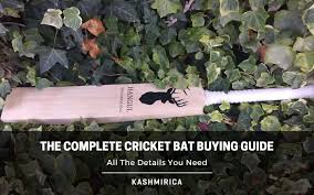 the ultimate cricket bat ing guide