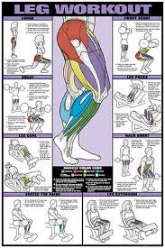 Legs Workout Wall Chart Professional Fitness Training Gym
