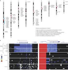 The Evolution And Population Diversity Of Human Specific
