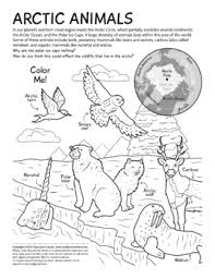 Calm species from a farm, like horse, donkey, dog, goat, cow, and pigs. Arctic Animals Coloring Page By Sara Cramb Teachers Pay Teachers