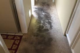 san antonio carpet repair don t