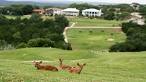 Lago Vista and Highland Lakes Golf Courses