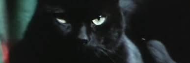 دانلود زیرنویس فیلم The Crimes of the Black Cat 1972 – بلو سابتايتل
