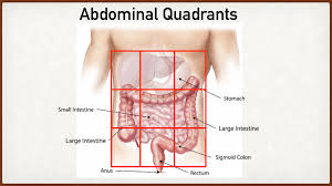 Abdominal nine divisions (a) and quadrant regions (b) : Abdominal Pain Causes By Location Stomach Anatomy And Quadrants Ezmed