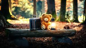 1920x1080 teddy bears cute alone in