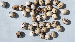 quail eggs nutrition benefits and