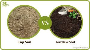 top soil vs garden soil their
