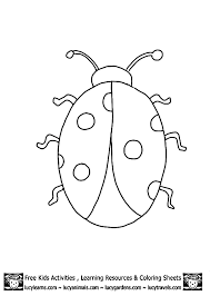Ladybug Outline Template Printables Life Cycle Of A Ladybug