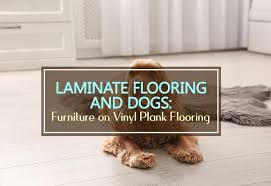laminate flooring and dogs what you