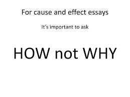 revising cause and effect essays types of papers cause and effect revising cause and effect essays