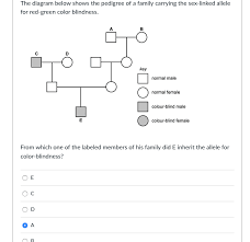 Solved The Diagram Below Shows The Pedigree Of A Family C