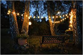 8 Awesome Outdoor Tree Lighting Ideas