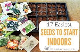 17 Easiest Seeds To Start Indoors Get