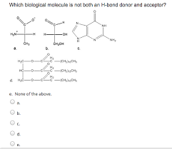 Solved Which Biological Molecule Is Not Both An H Bond Do