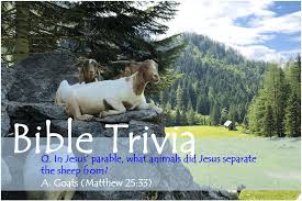 Or maybe you are looking to create your own trivia quiz. Bible Trivia 200 Series Bible Iq