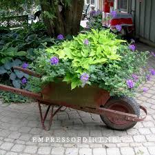 12 Creative Wheelbarrow Planter Ideas