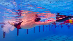 13 freestyle drills for beginners plt4m
