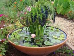 14 Garden Water Feature Ideas For A