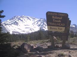 Image result for pictures of new avalanche above bunny Flats on mt. Shasta