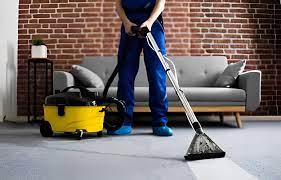 why carpet cleaners need best ing