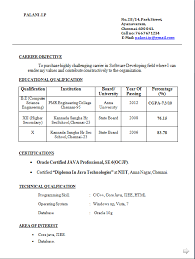 It Resume Format For Freshers bsc it resume format for freshers     Template net