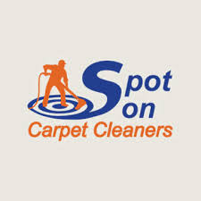 4 best canton carpet cleaners