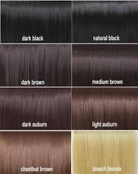 Natural Hair Colours Chart Best Picture Of Chart Anyimage Org