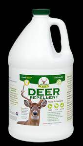 deer repellent gallon ready to use