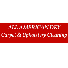 all american dry carpet project