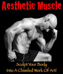 body part split workout routine