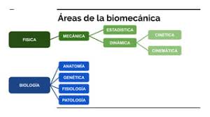 Image result for "ANATOMIA; GENETICA; FISIOLOGIA"