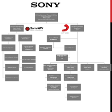 Case Development And Analysis Sony Music Entertainment