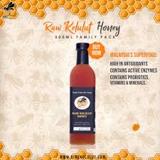 President of the newly formed australian native bee association tim heard said stingless bee honey did not meet that requirement because it contained about 26 per cent water. Dino Madu Kelulut Stingless Bee Honey Raw And Organic 500ml Family Pack Shopee Malaysia