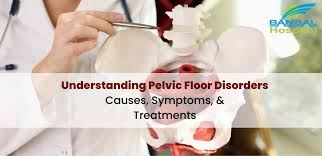 understanding pelvic floor disorders