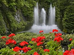 Waterfall Garden Waterfalls Nature
