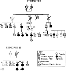 Pedigree Chart For Two Kindreds With Papillary Thyroid Car