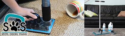 sos stain out system carpet extraction