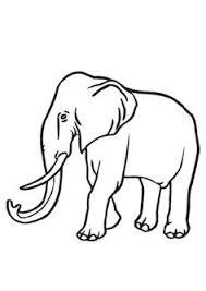 In diesem artikel wollen wir ihnen viele schöne ideen für bilder zum ausmalen für kinder, oder auch für erwachsene, geben. 68 Ausmalbilder Elefanten Ideen Ausmalen Elefant Ausmalbilder