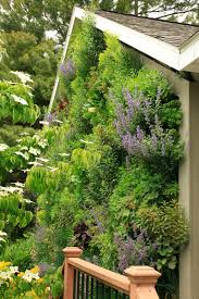 vertical garden with live plants
