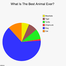 Animals Ranked In My Opinion Imgflip