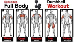 full body home dumbbell workout squats
