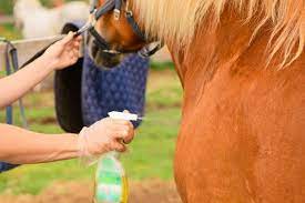 5 diy homemade fly sprays for horses