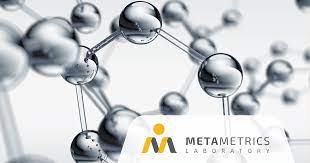MetaMetrics Laboratory gambar png