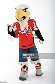 Enjoy that fan fun whenever you want and show off your fandom by building this gritty philadelphia flyers brxlz mascot and putting him on your desk. All Star Game Mascot Portraits Photos And Premium High Res Pictures Mascot All Star Team Mascots