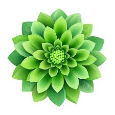 green flowers png vector psd and