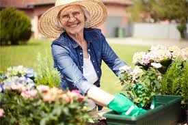 gardening for seniors starters guide