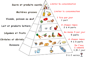 La pyramide alimentaire | Pyramide alimentaire, Jeu alimentaire, Alimentaire